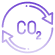 Carbon Credit NFTs